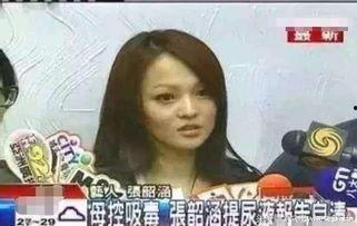 张韶涵爸爸爆料视频大全,揭秘家庭纷争背后的真相  第3张