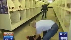 新闻采访爆料搞笑视频,笑料百出！新闻采访爆料搞笑视频幕后花絮大揭秘  第1张