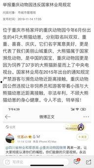 重庆问政最新爆料,揭露背后惊人真相 第1张 重庆问政最新爆料,揭露背后惊人真相 第1张